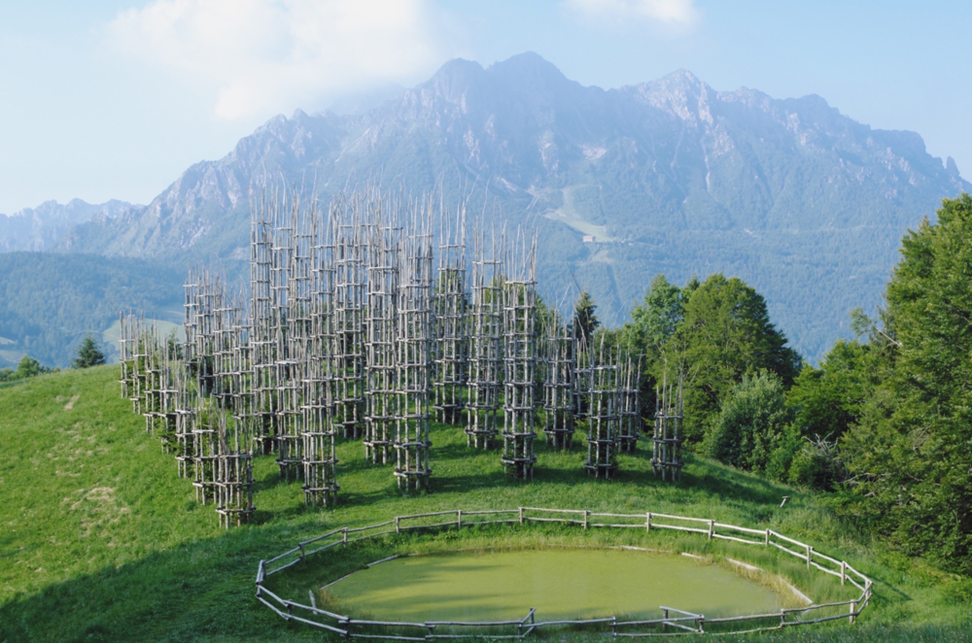 The Tree Cathedral, Bergamo