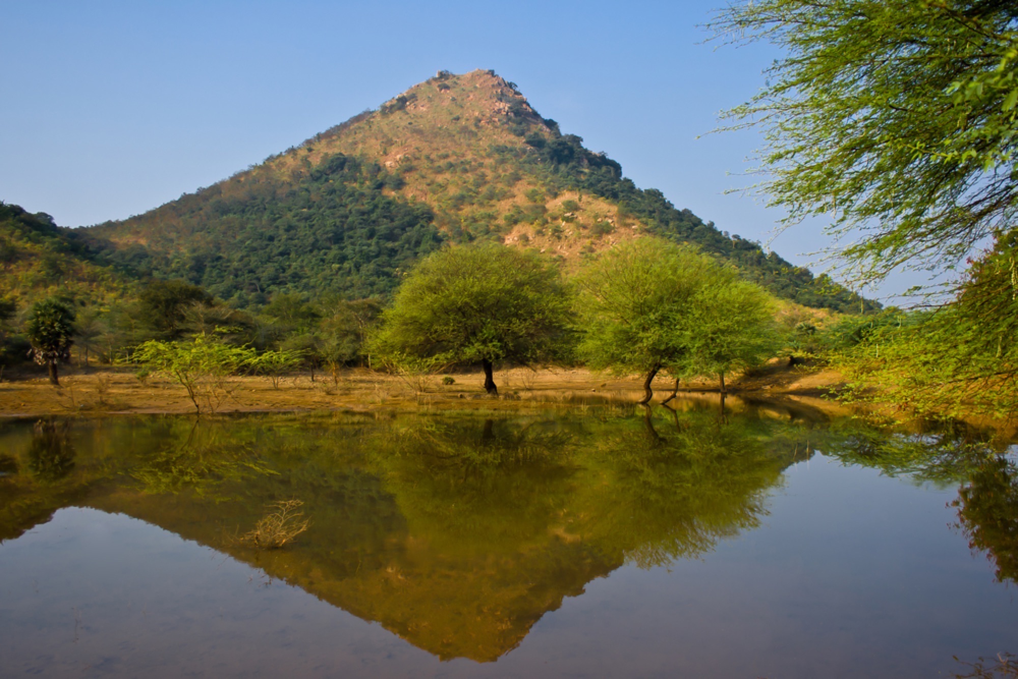 Mount Arunachala, India