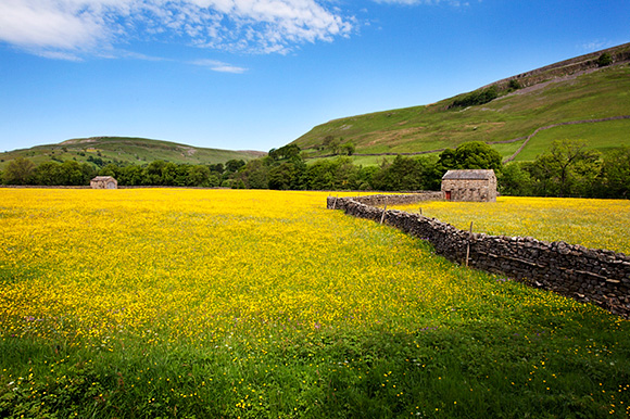 23. Muker Meadows, Swaledale, North Yorkshire, UK 