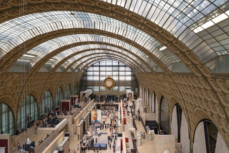 sharks and sting ray in shallow water