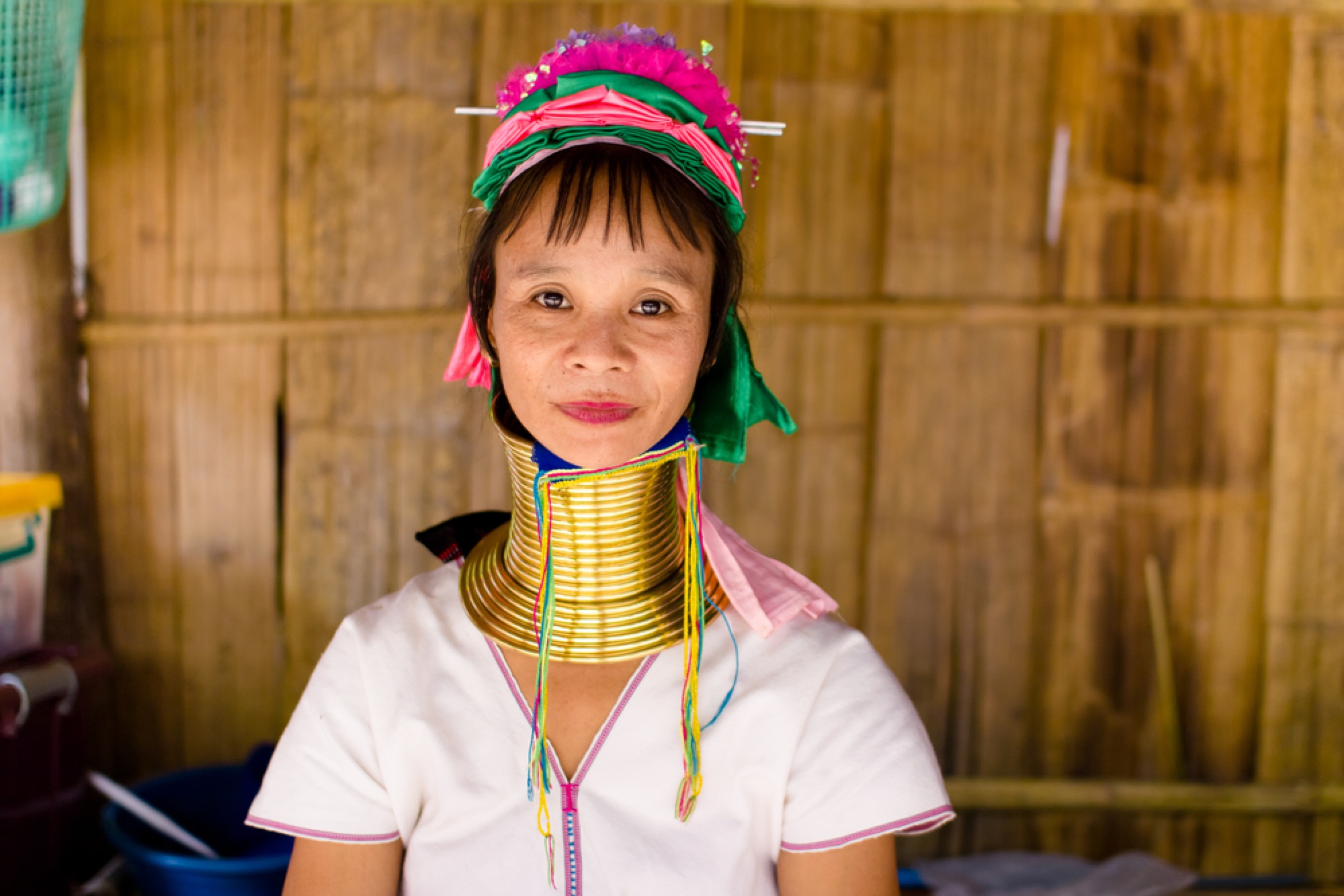 Long Neck Hill Villages