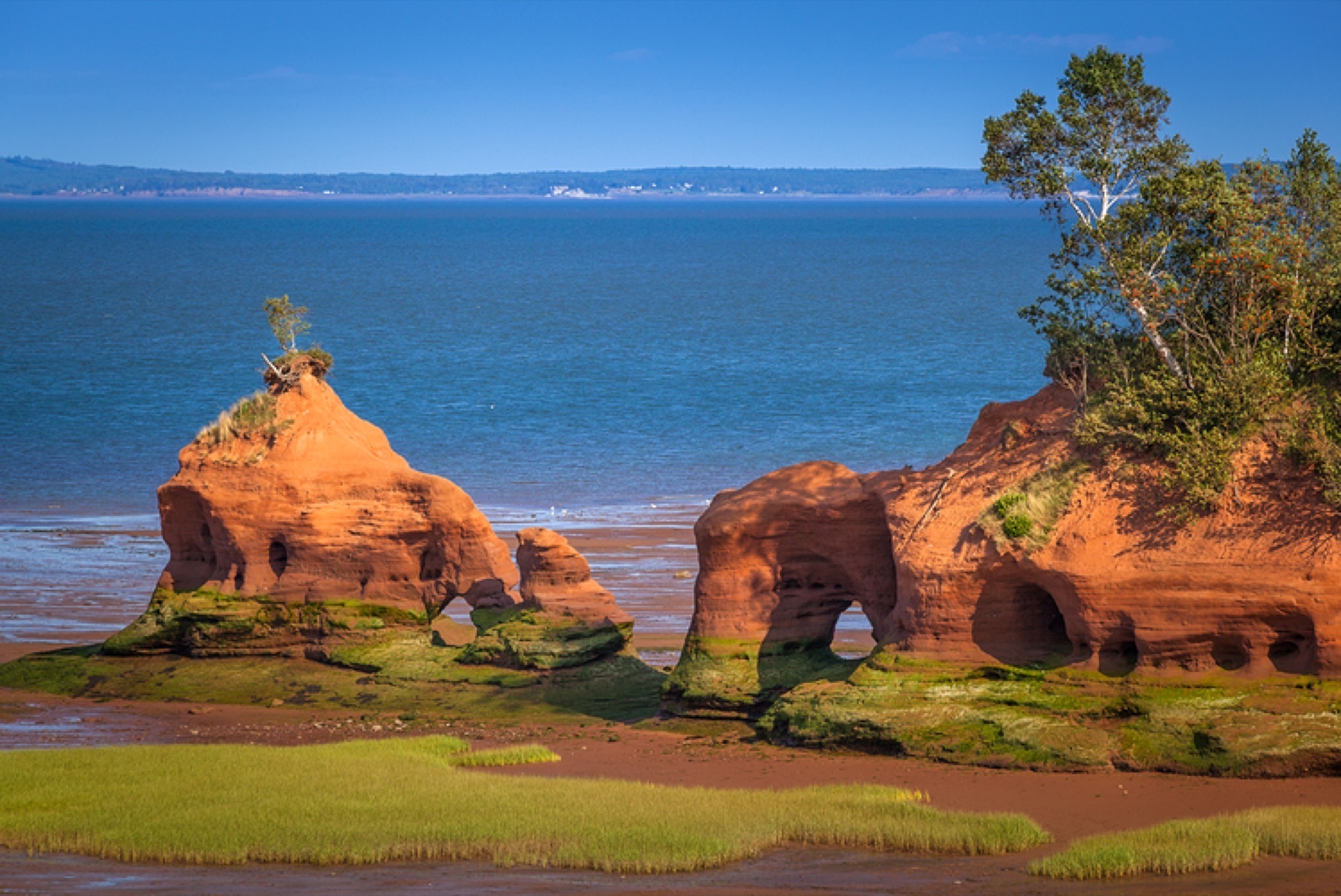 Bay of Fundy, New Brunswick, Canada
