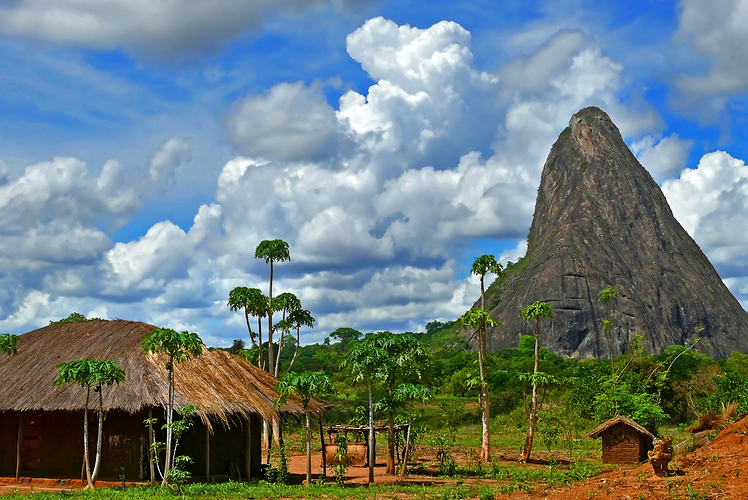 Go on a safari in Mozambique