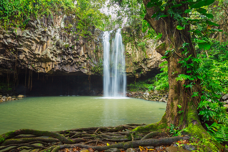 Hawaii Waterfall