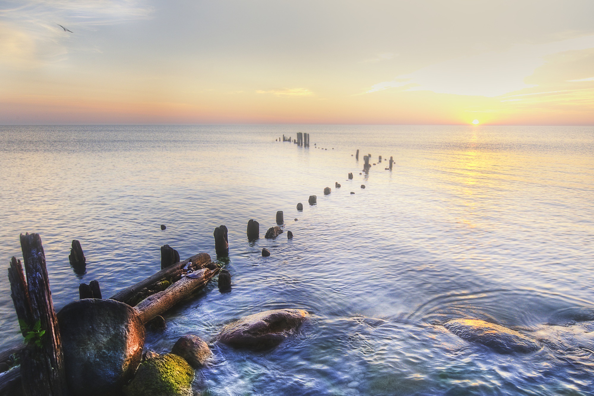 dive at Lake Michigan