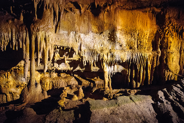 Mammoth Cave