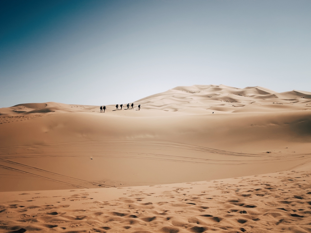 Run the Toughest Footrace, Morocco