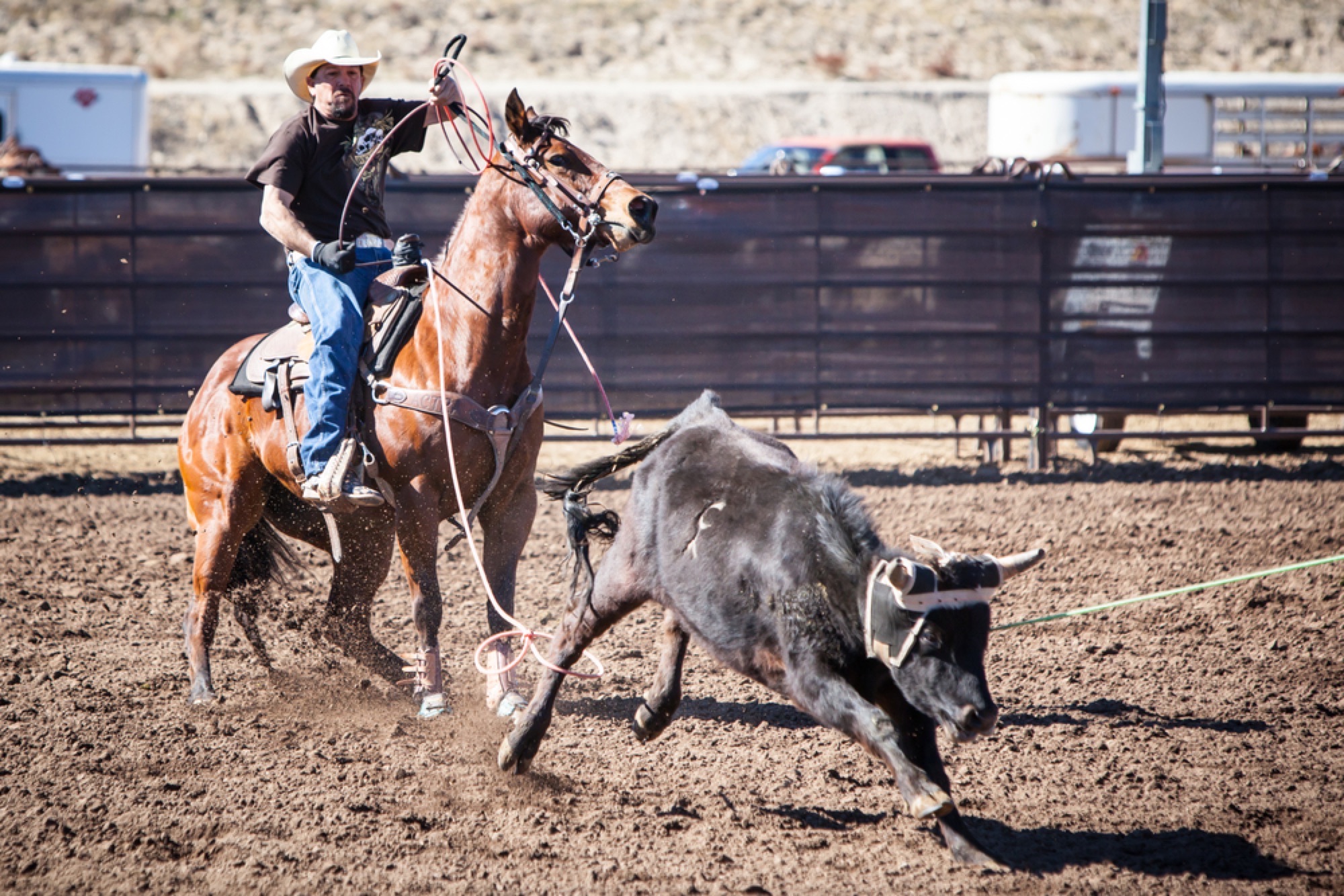 Take Part in a Rodeo, United States