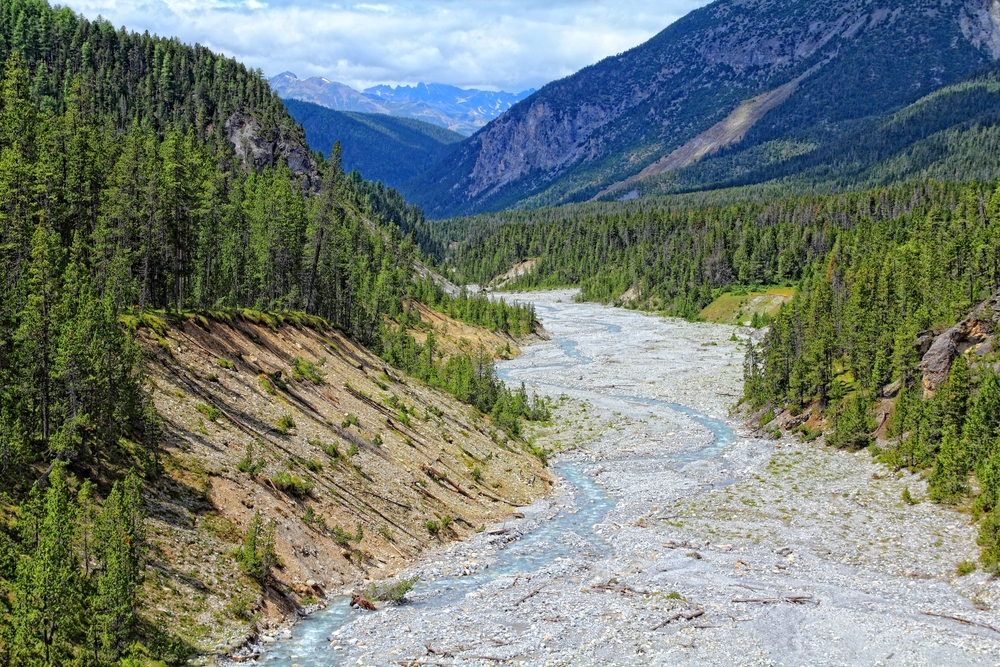 The Swiss | Switzerland