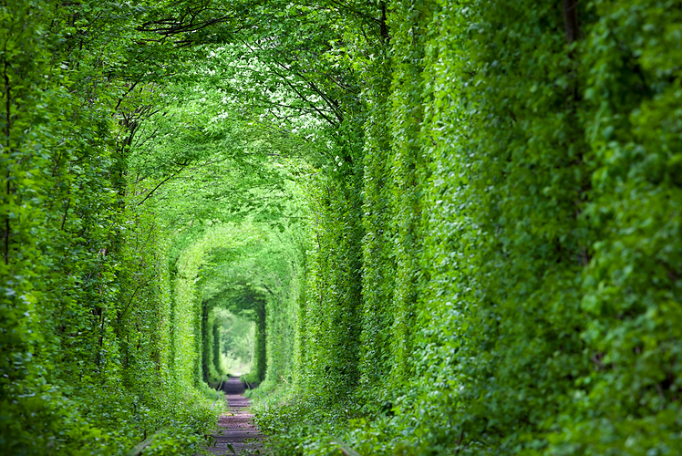 The Tunnel of Love, Ukraine
