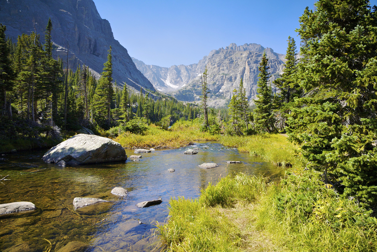 shutterstock_53162362 (1)