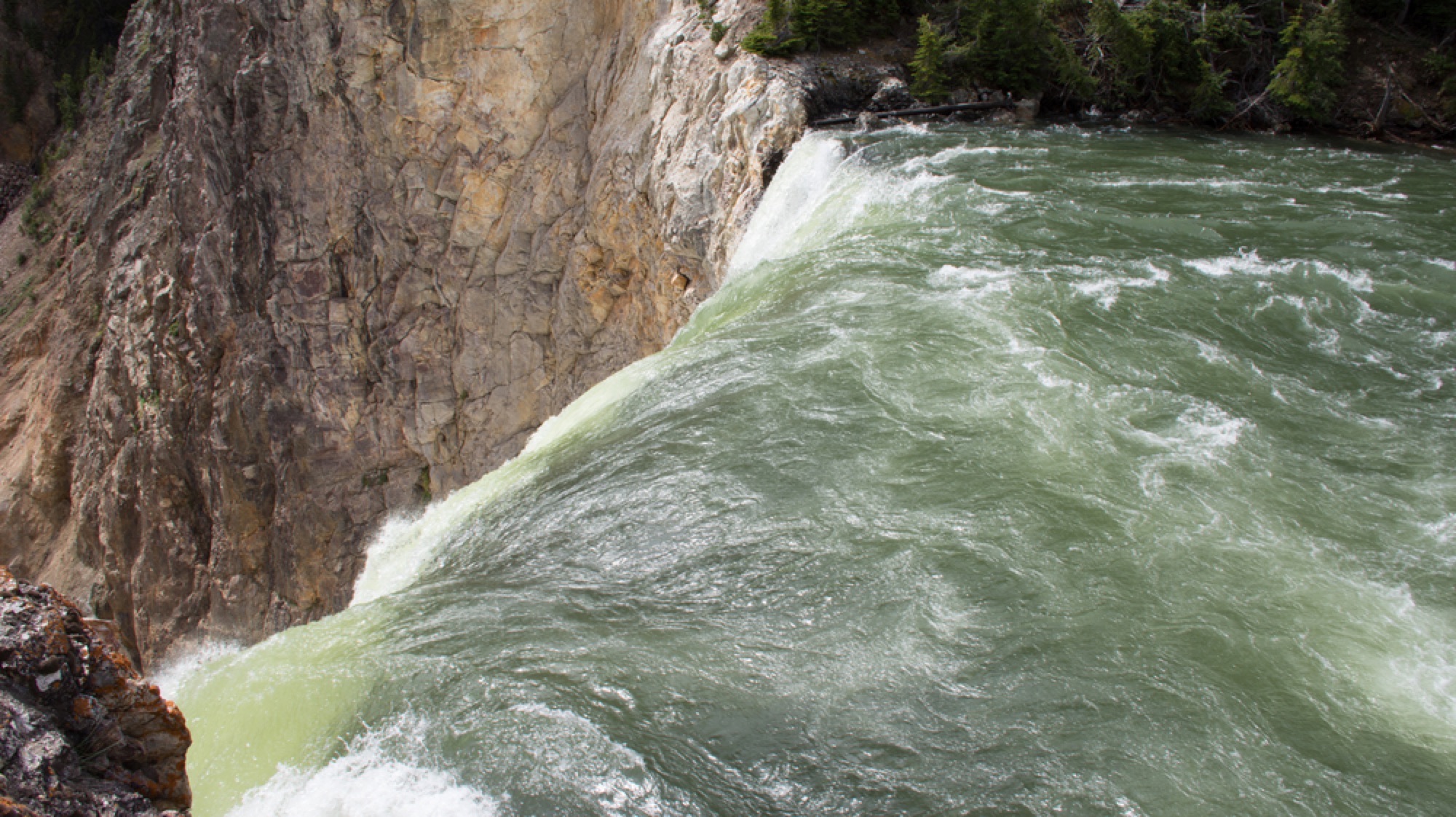 Yellowstone Lower Falls From Lookout