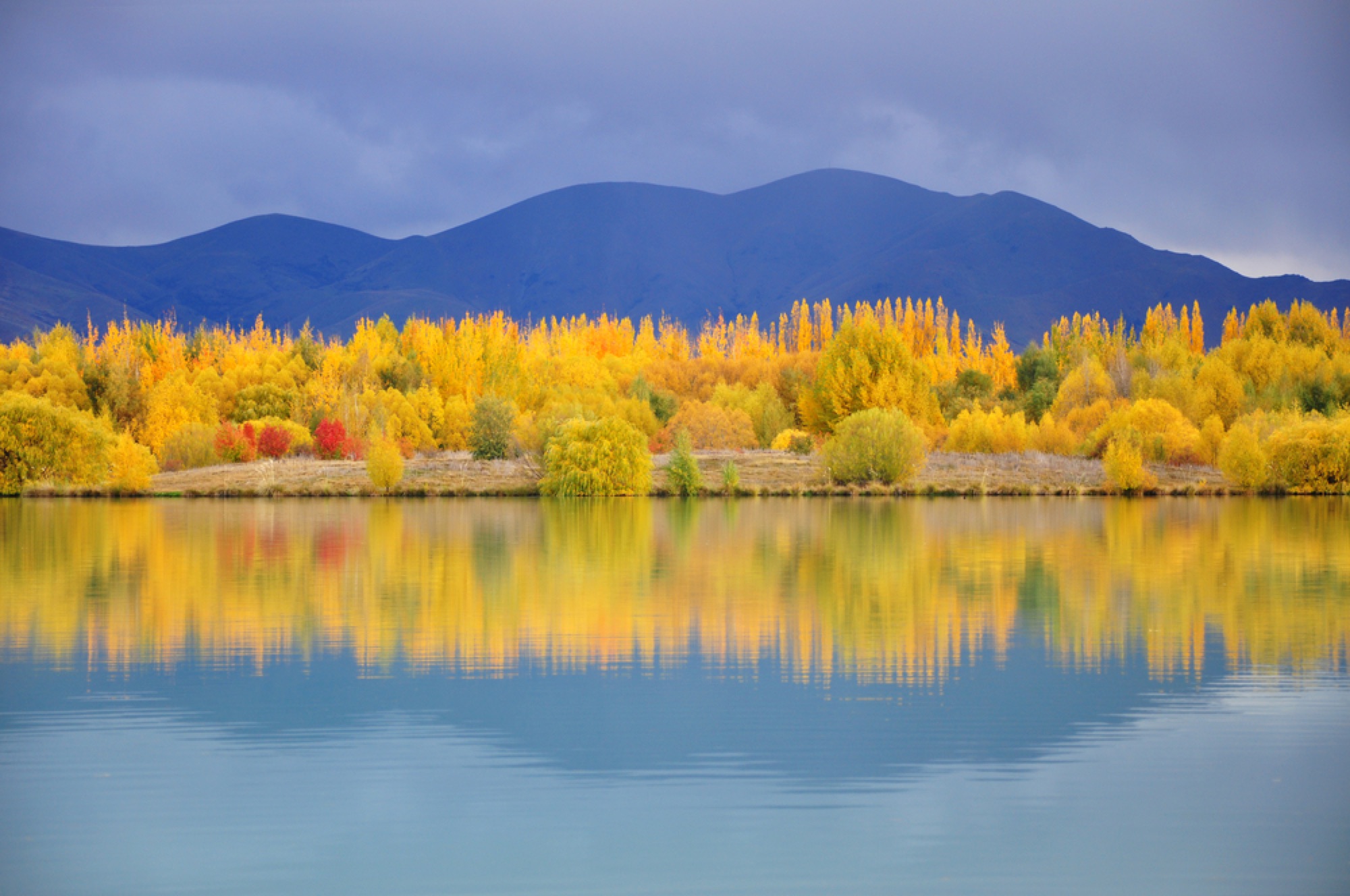 south island new zealand