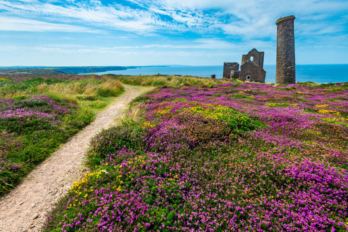 flowered coastline Côte Fleurie 