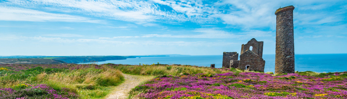 Côte Fleurie Flowered Coastline