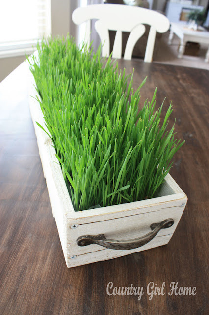 Green Wheat Grass